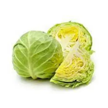 cabbage11-4571984-62863.webp