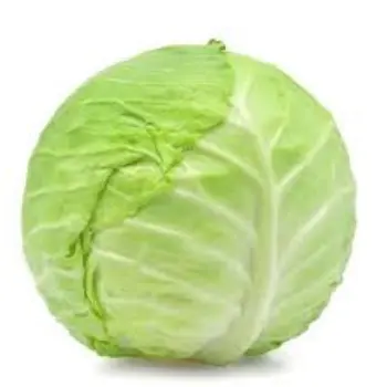 cabbage13-1904710-10174.webp