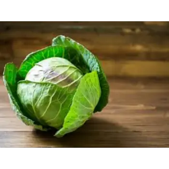 cabbage13-4155995-10426.webp