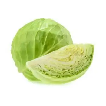 cabbage15-7100636-66213.webp