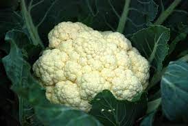 Frozen Cauliflower cali-5126814-43121.jpg