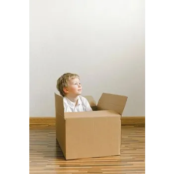 cardboard-packaging-box-1-9462546-84368.webp