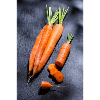 Organic Frozen Carrot carrot-04-8449998-40774.webp