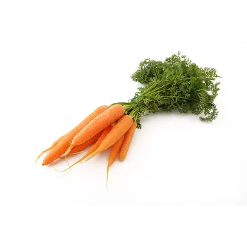 Fresh Frozen Carrot carrot-11-8586632-81180.webp