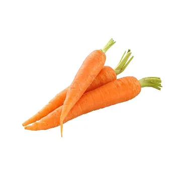 Common Frozen Carrot carrot-18-3742421-87177.webp
