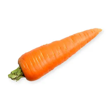 Frozen Carrot carrot-19-3100430-57604.webp