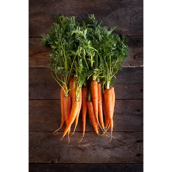 Organic Frozen Carrot carrot-25-9491210-30394.webp