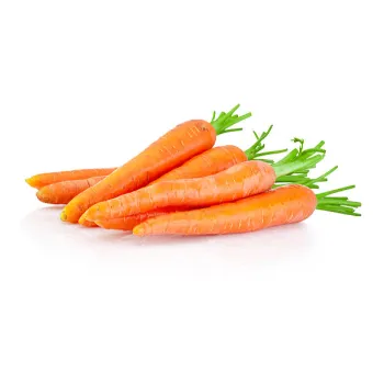 A Grade Frozen Carrot carrot-31-8807585-3836.webp