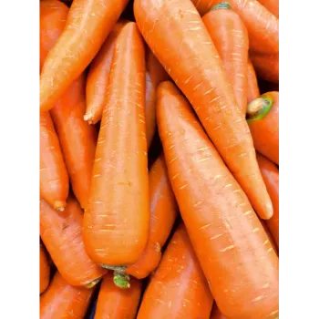 Fresh Frozen Carrot carrots-17-6193417-73515.webp