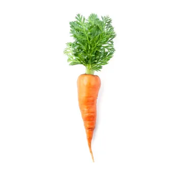 Organic Frozen Carrot carrots-20-5701964-79152.webp