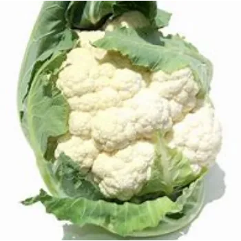 cauliflower-01-5216837-39074.webp