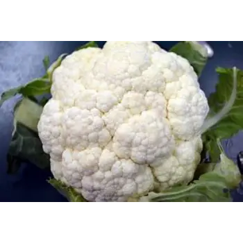 cauliflower-02-220495-82397.webp