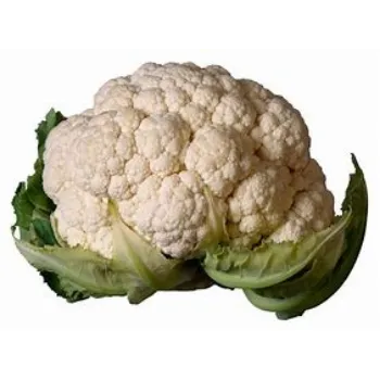 cauliflower-03-8428606-91461.webp