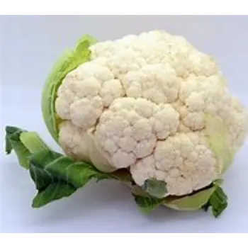 cauliflower-04-8712222-91955.webp