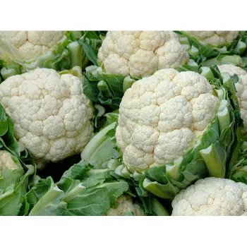 cauliflower-09-5906909-44218.webp