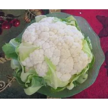 cauliflower-10-7582408-56728.webp