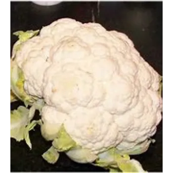 cauliflower-17-3494775-96246.webp