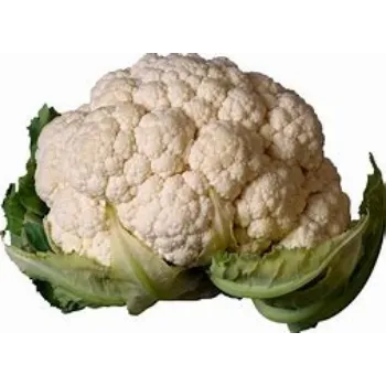 cauliflower-19-8334092-81294.webp