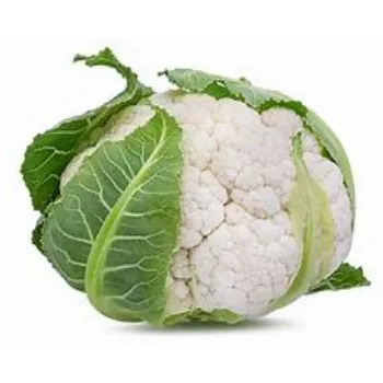 cauliflower-20-9507118-99696.webp