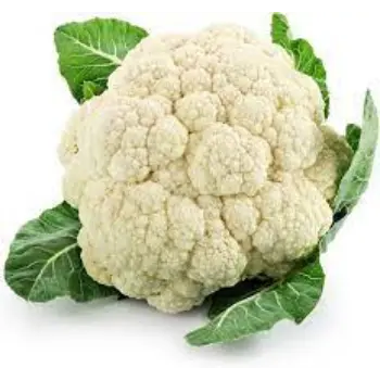 cauliflower01-8572492-99929.webp