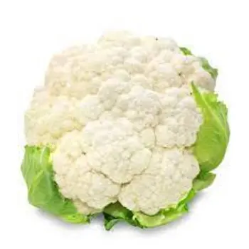 cauliflower02-269235-5623.webp