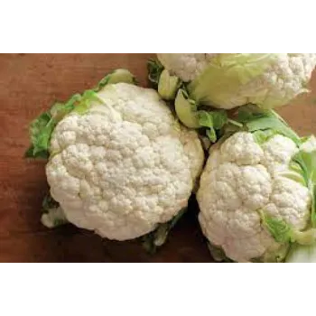 cauliflower03-2655900-70095.webp