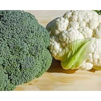 cauliflower05-7414772-87595.webp