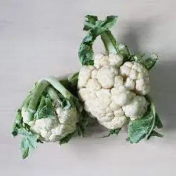 cauliflower05-7592608-29671.webp