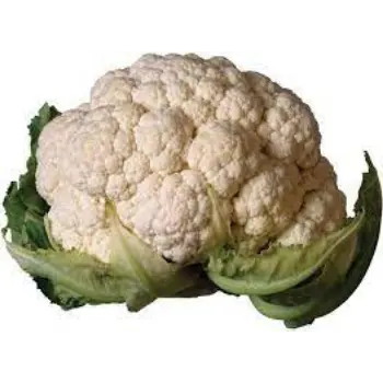 cauliflower06-610014-4001.webp