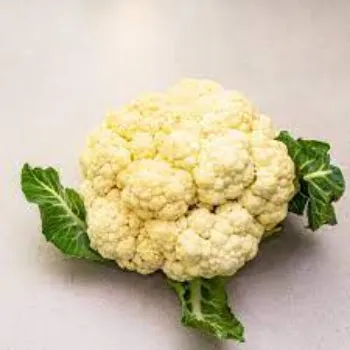 Organic Frozen Cauliflower cauliflower06-9467328-10419.webp
