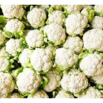 cauliflower08-9357438-77361.webp