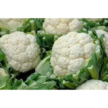 cauliflower09-2673720-54967.webp