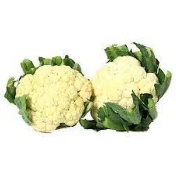 cauliflower11-4711441-52881.webp