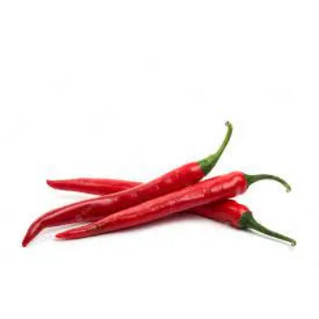 chilli03-6586880-10525.webp