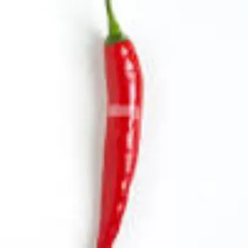 chilli09-3960711-73538.webp