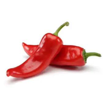 chilli6-9442152-29351.webp