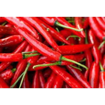 chillies1-1649030-25871.webp