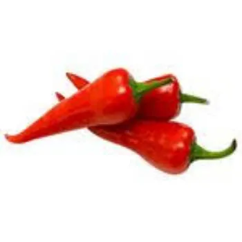 chillies3-6674434-40921.webp