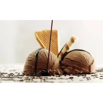 Fine Chocolate Ice Cream chocolate-ice-cream52-3507160-20989.webp