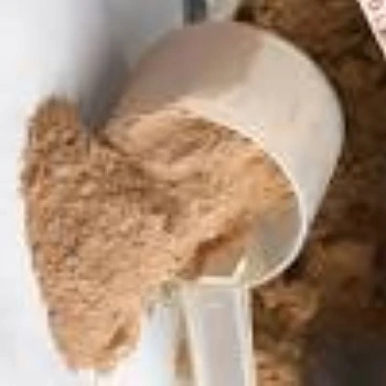 chocolate-protein-powder09-9414152-95700.webp