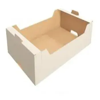 Multi, Corrugated Tray Box corrugated-tray-box05-4589512-71519.webp