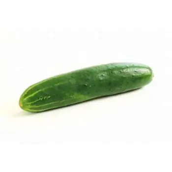 cucumber-06-2170763-41337.webp