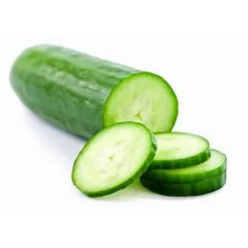 cucumber-10-2468520-80301.webp