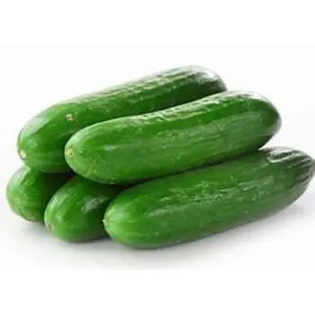 cucumber-11-9259721-41336.webp