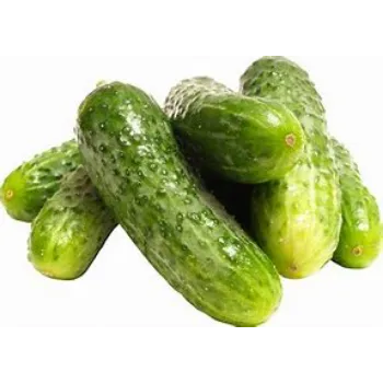 cucumber-16-148092-58571.webp