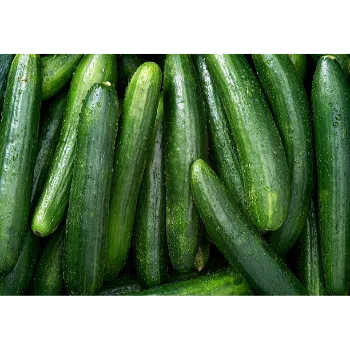 cucumber-16-4671538-16543.webp