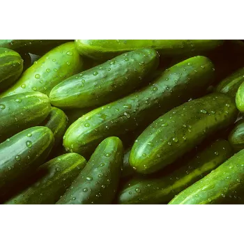 cucumber-17-6008122-80155.webp