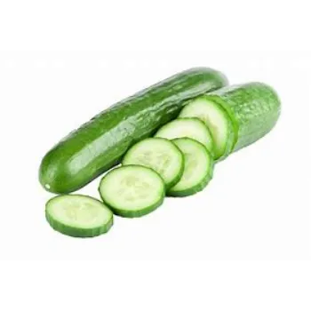 cucumber-18-7151693-42479.webp