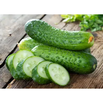 cucumber-27-9357139-67956.webp