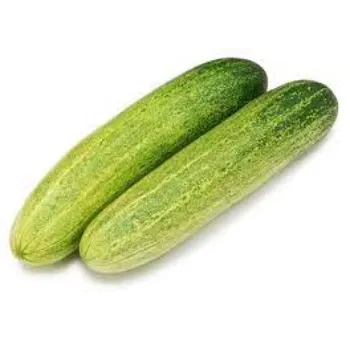 cucumber-5288955-11562.webp